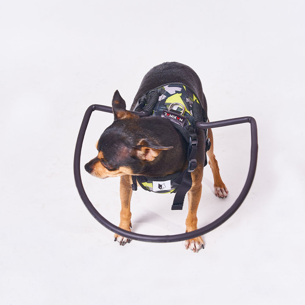 Arnés Funcional para Perritos Ciegos