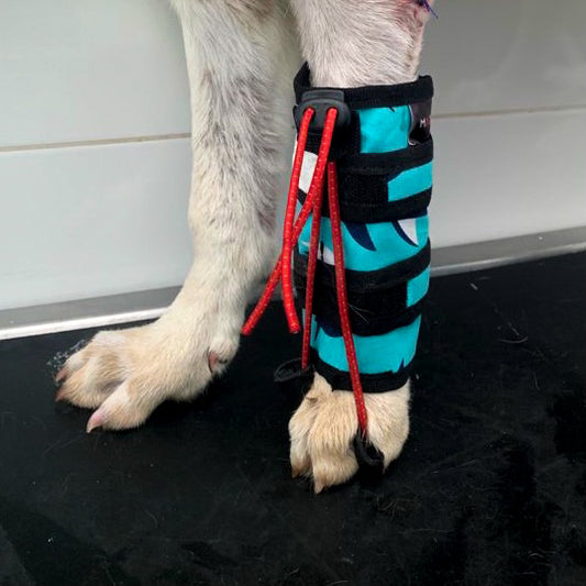 Corrector Propioceptivo de Carpo