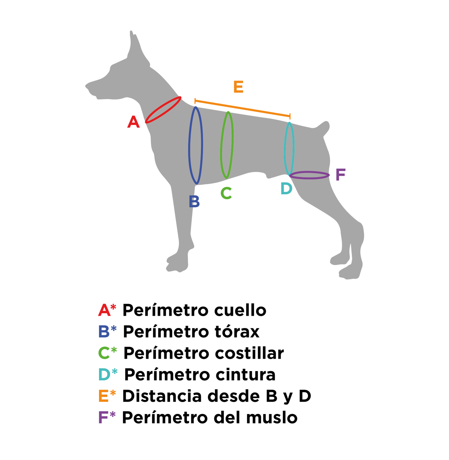 Arnés Integral de Movilidad