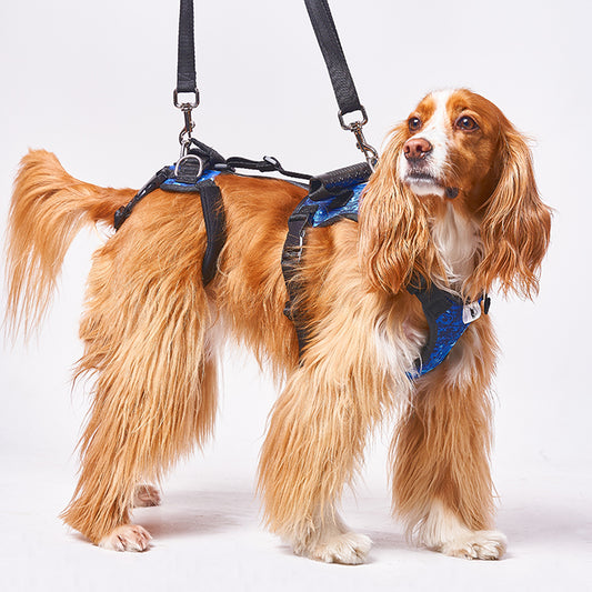 Arnés Integral de Movilidad