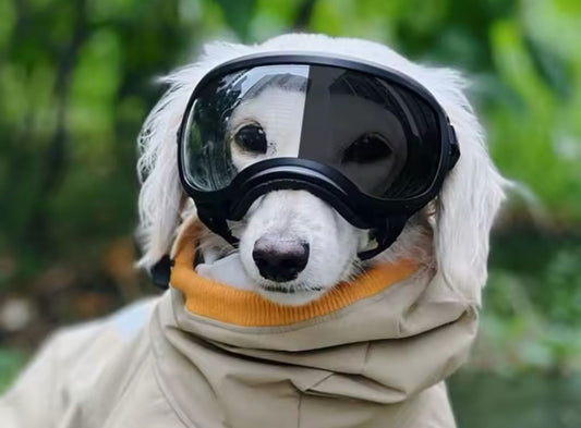 Gafas con Lentes Transitions Protección UV 400