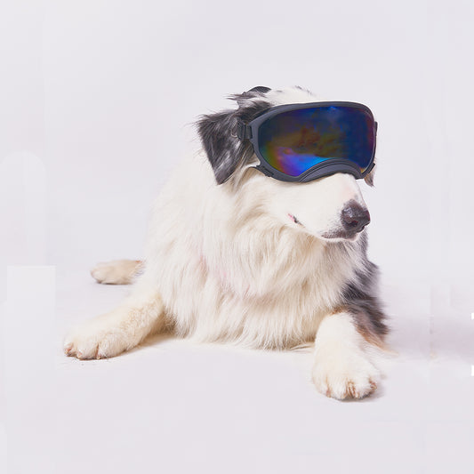 Gafas Lente Completo