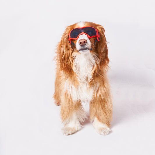 Gafas Lente Transpirable