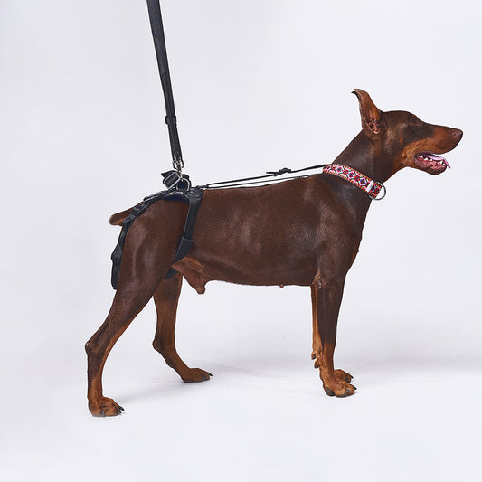 Arnés Asistencia de Cadera