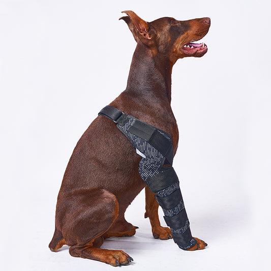 Férula Rígida de Radio y Cúbito