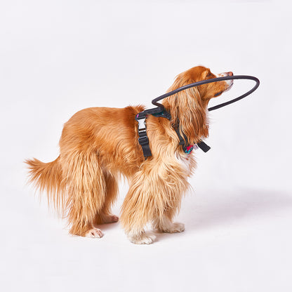 Arnés Funcional para Perritos Ciegos