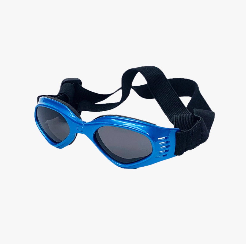 Gafas Multicolor