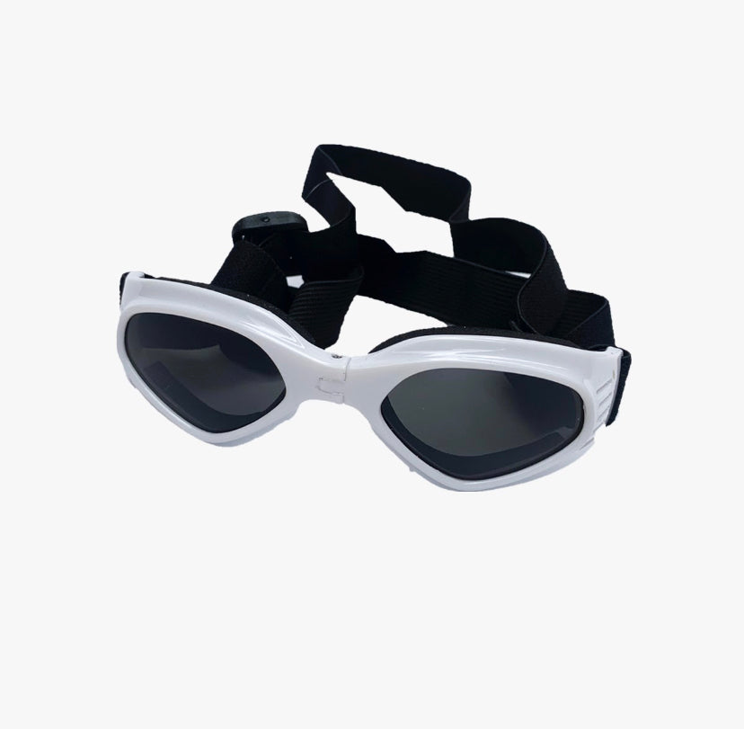 Gafas Multicolor