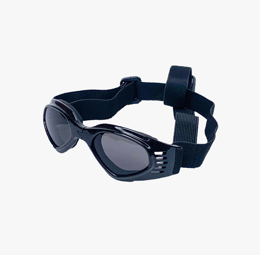 Gafas Multicolor