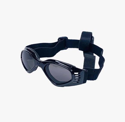 Gafas Multicolor