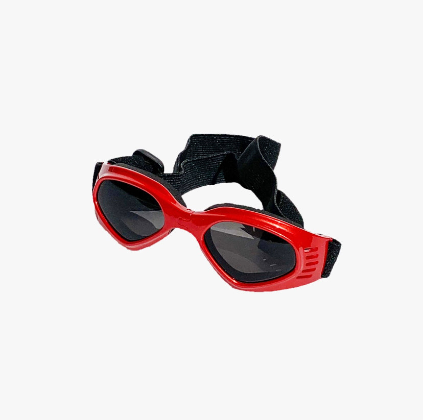Gafas Multicolor