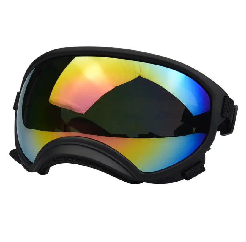 Gafas Lente Completo