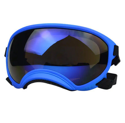 Gafas Lente Completo