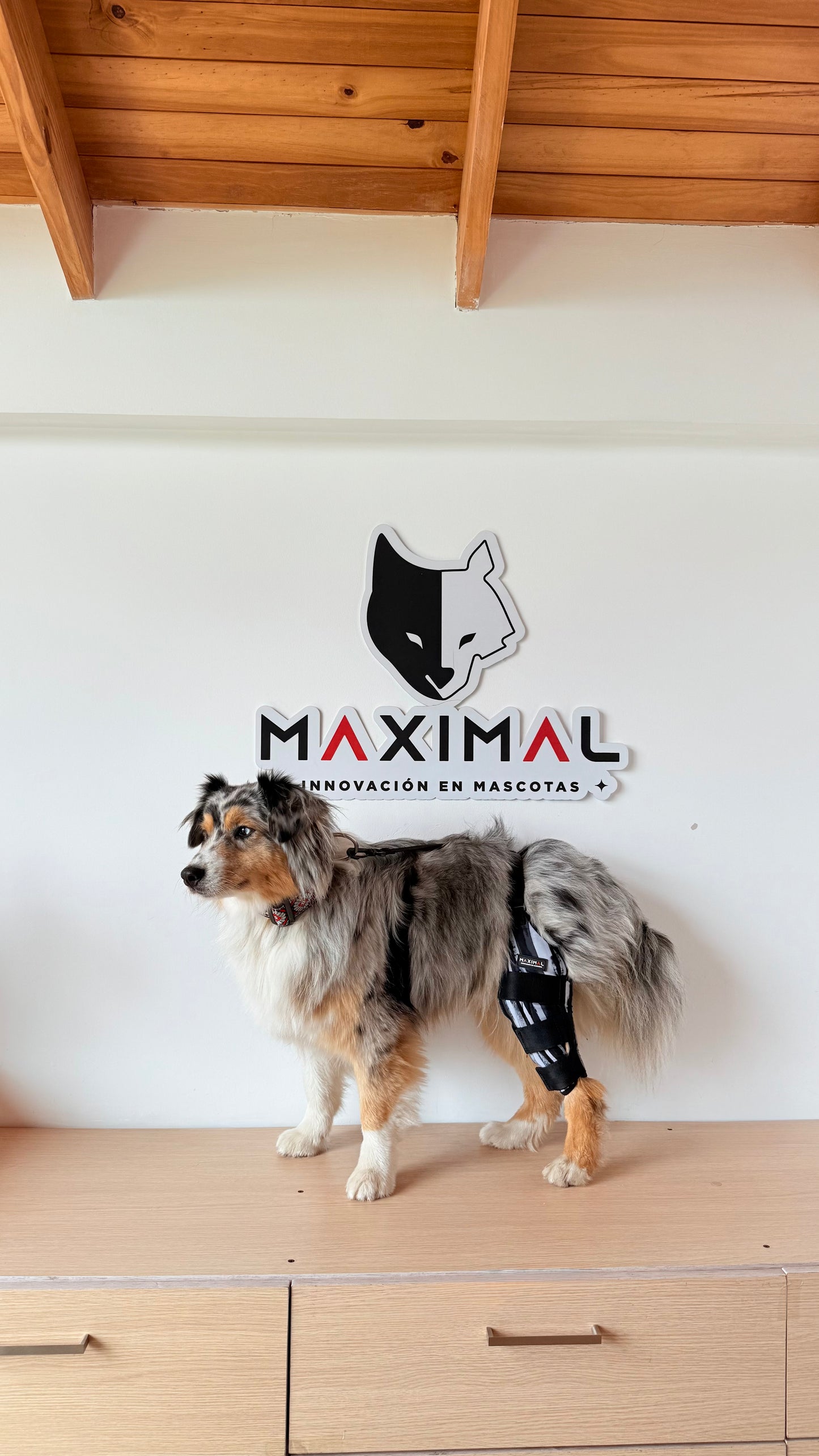 Rodillera Max 3.0