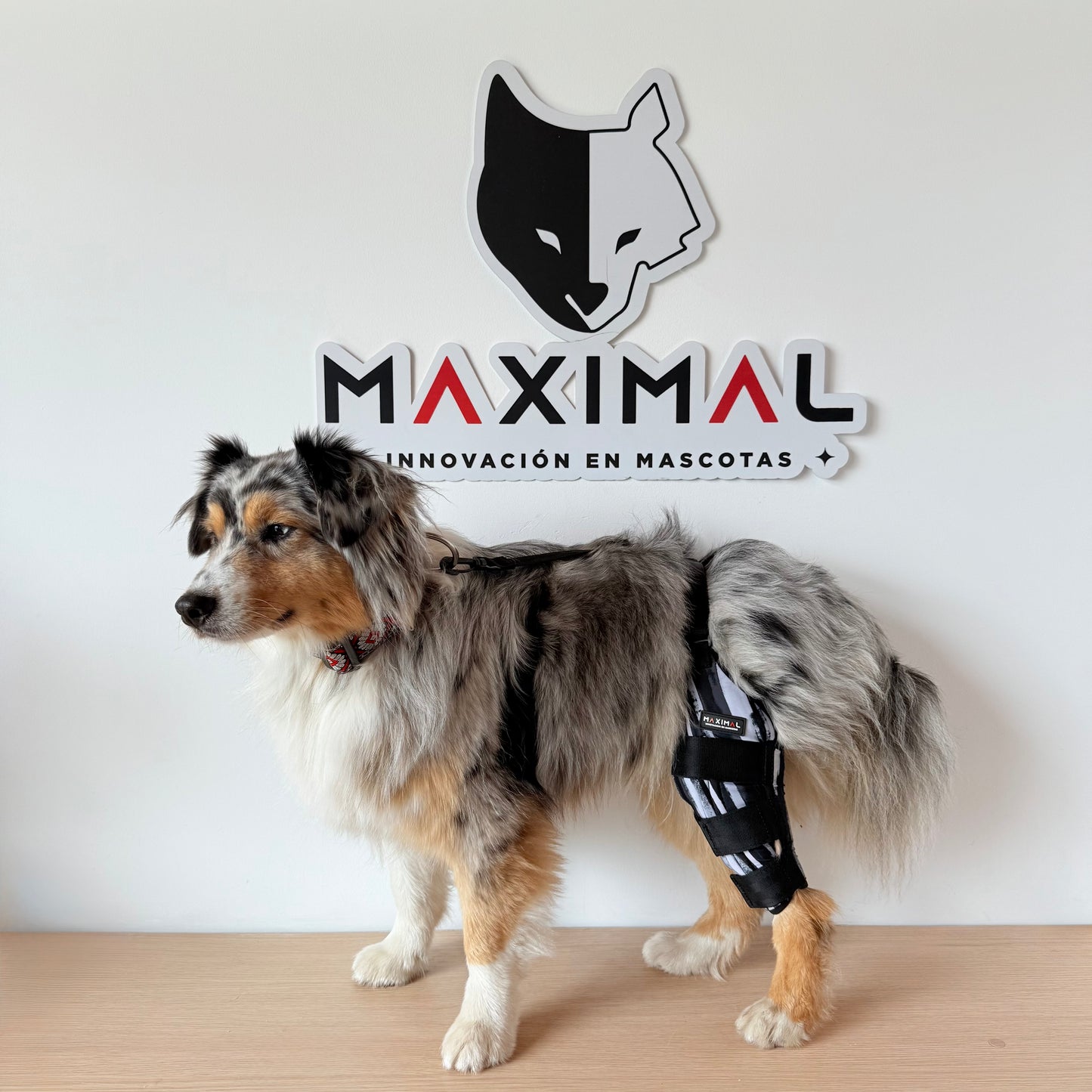Rodillera Max 3.0