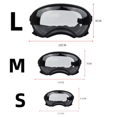 Gafas con Lentes Transitions Protección UV 400