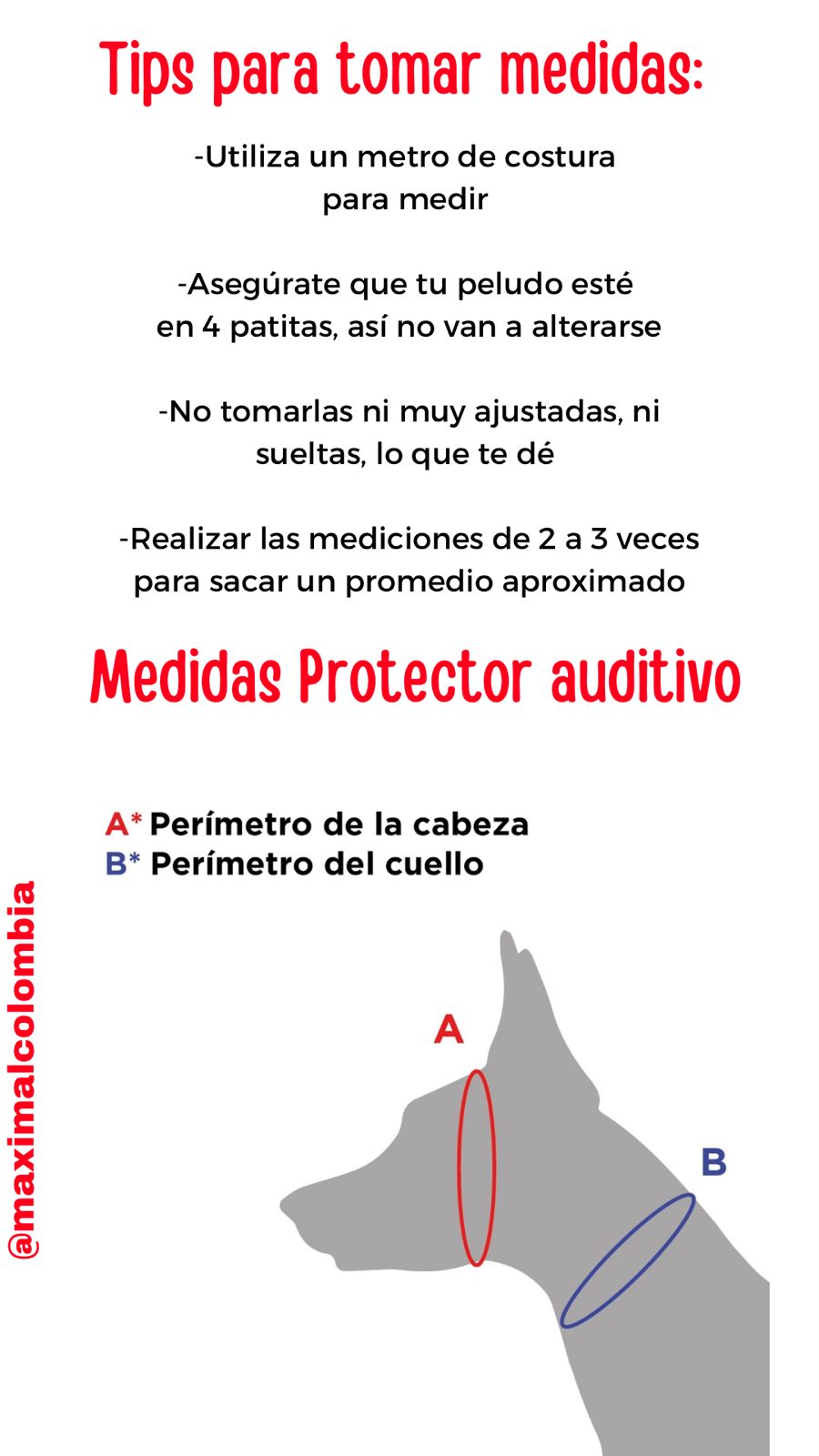 Protector Auditivo