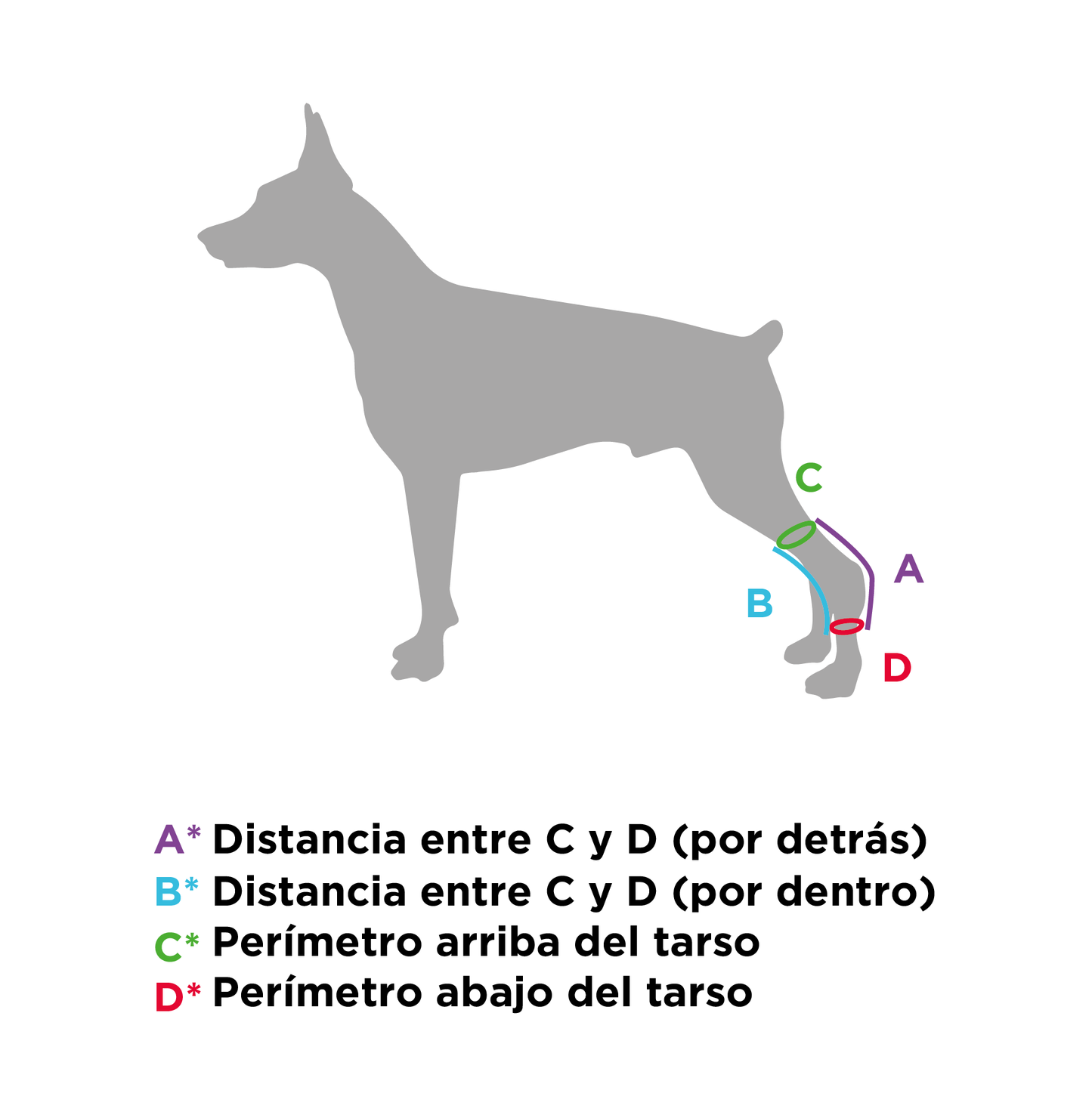 Corrector Propioceptivo de Tarso