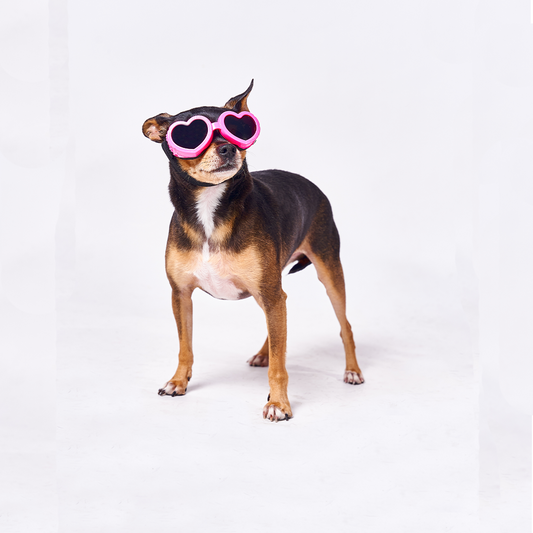 Gafas lente corazón