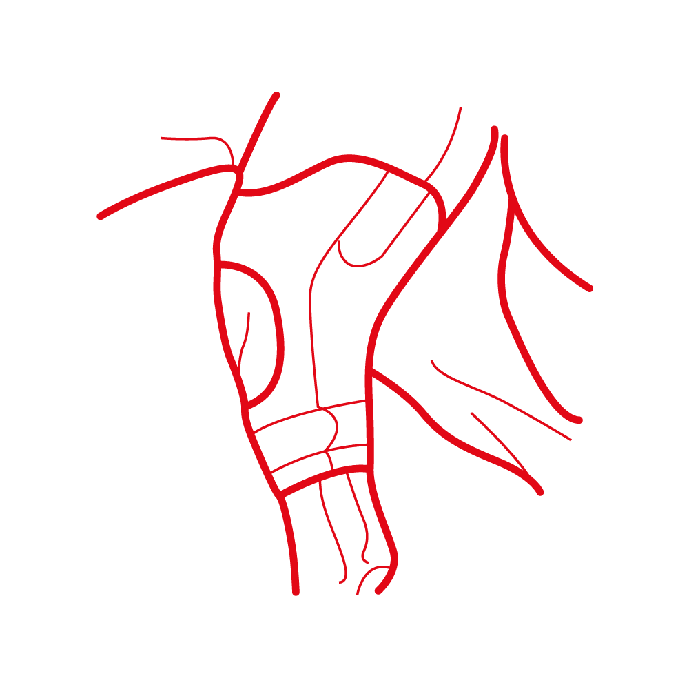 feature-item-2