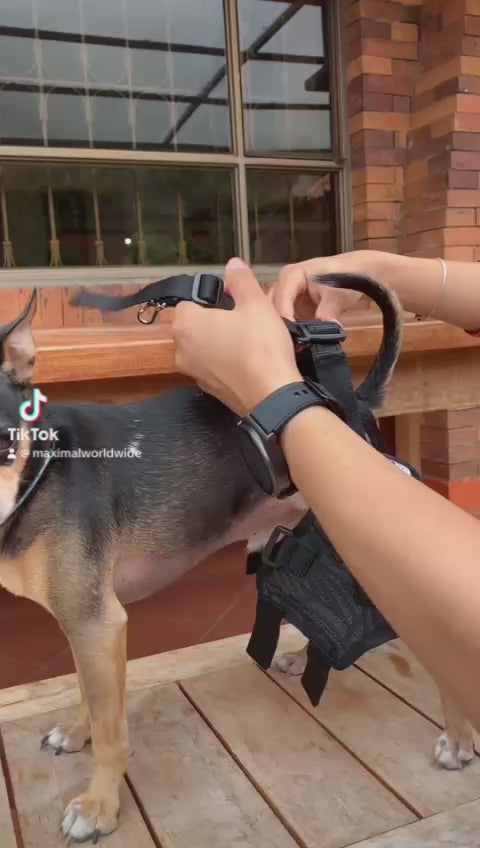Cargar video: 