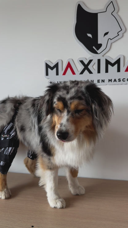 Rodillera Max 3.0