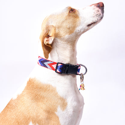 Collar Tejido